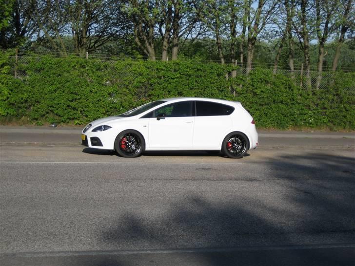 Seat Leon Cupra "SOLGT" billede 3