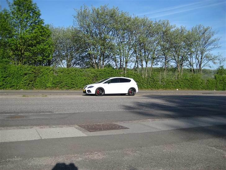 Seat Leon Cupra "SOLGT" billede 4