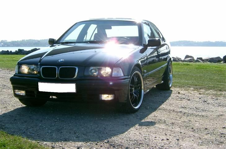 BMW 323i billede 5