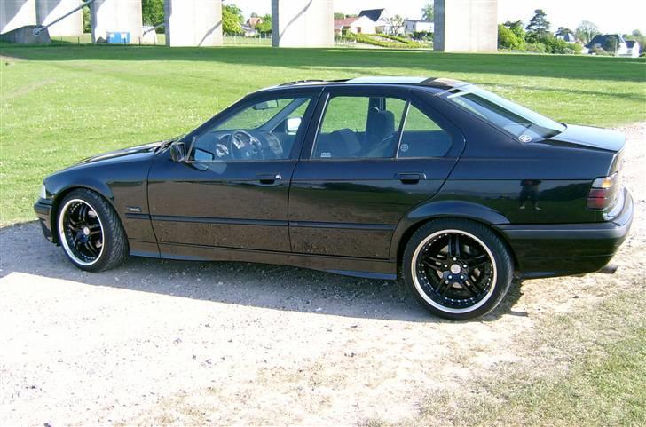 BMW 323i billede 6