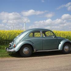 VW Bobbel 113 Deluxe oval