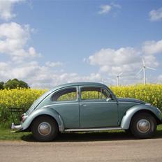 VW Bobbel 113 Deluxe oval