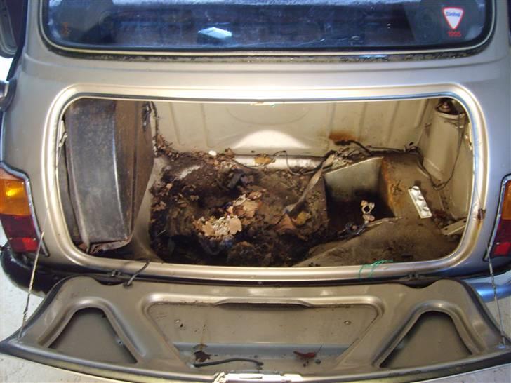 Mini Mascot billede 2