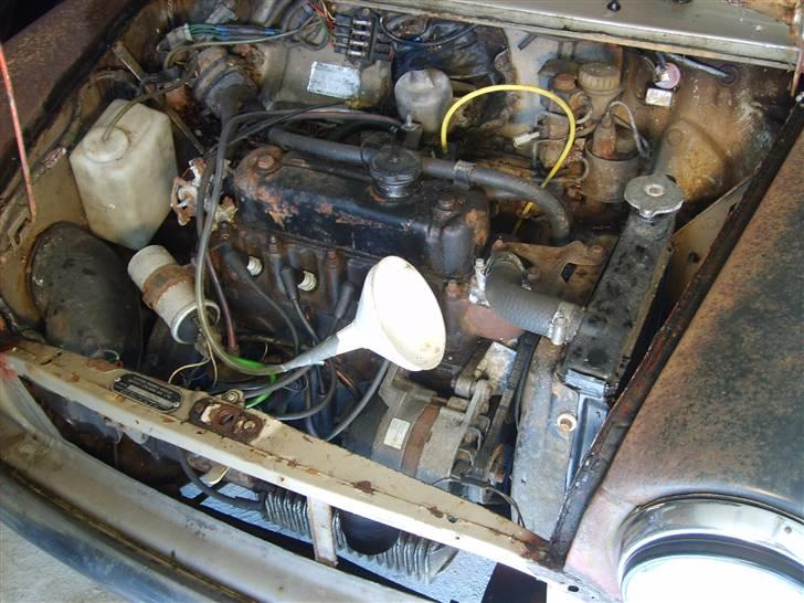 Mini Mascot billede 6