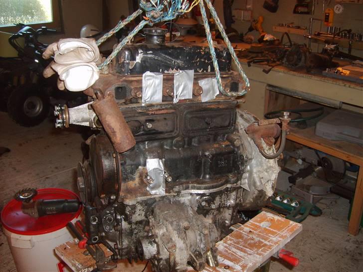 Mini Mascot billede 7