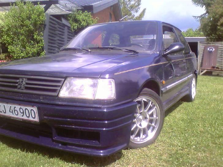 Peugeot 309 Kick - Lidt insekter på snuden ;) billede 5