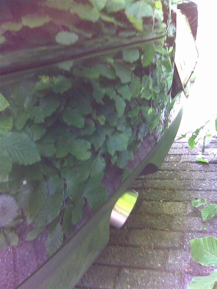 VW Golf 4 V6 4Motion (Solgt) - Lidt dårligt billede af udstødningen, med 2½" 45 graders rørhale billede 8