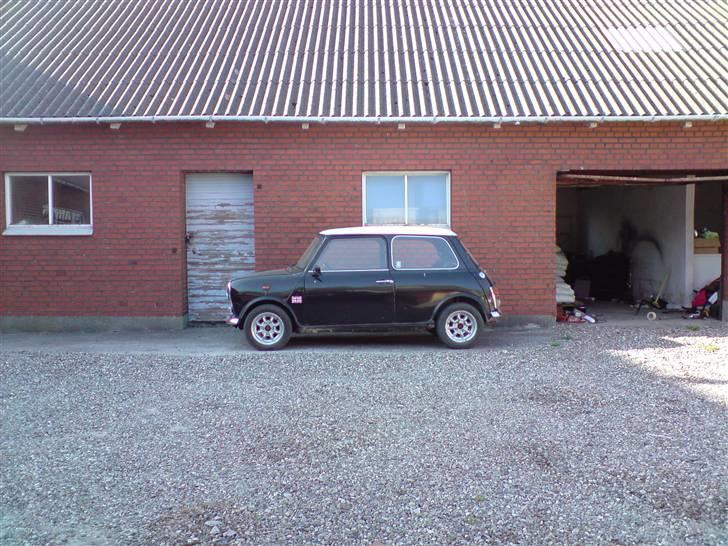 Mini Morris Mascot billede 7