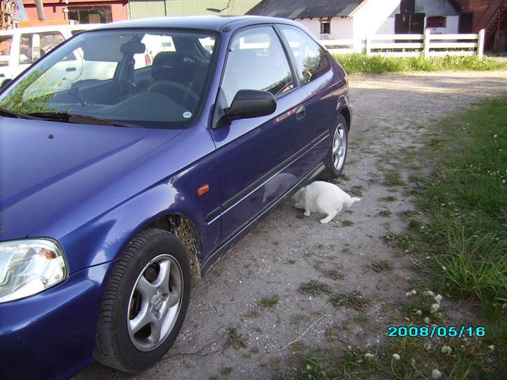 Honda civic billede 7