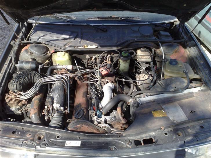 Audi 200 2.2 Turbo - Meget grimt "look" men god "klang" billede 10
