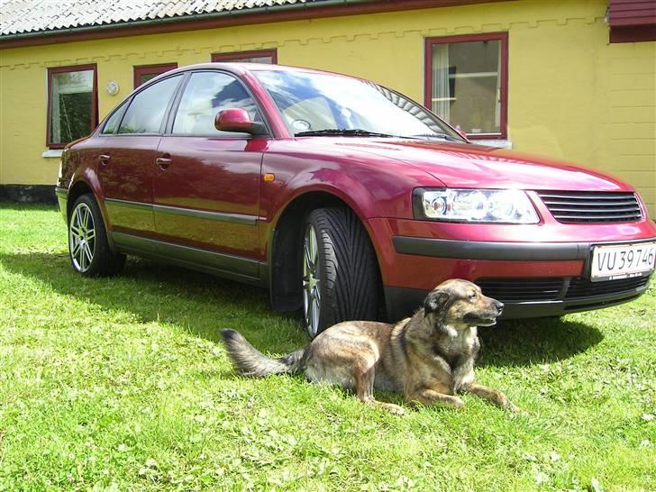VW Passat 3B/Stjålet billede 12