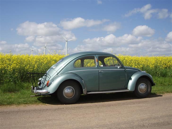 VW Bobbel 113 Deluxe oval billede 1