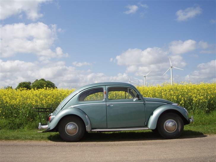 VW Bobbel 113 Deluxe oval billede 3