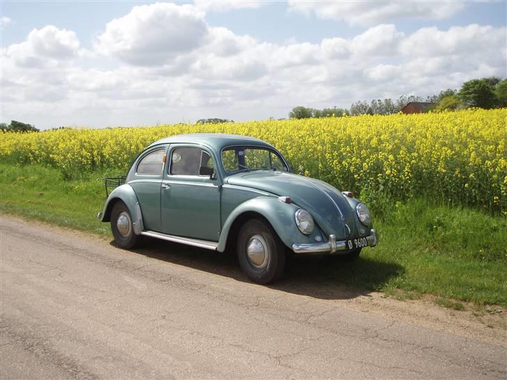 VW Bobbel 113 Deluxe oval billede 4