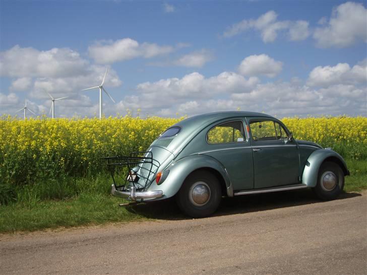 VW Bobbel 113 Deluxe oval billede 5