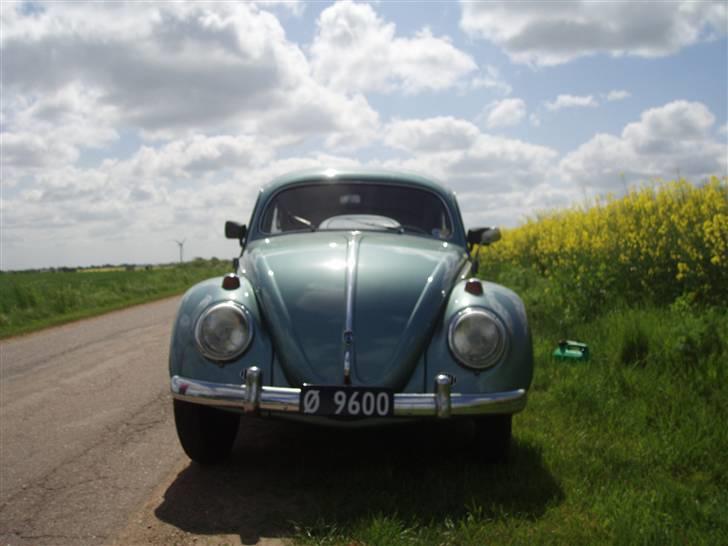 VW Bobbel 113 Deluxe oval billede 9