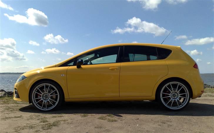 Seat                Leon Cupra billede 2