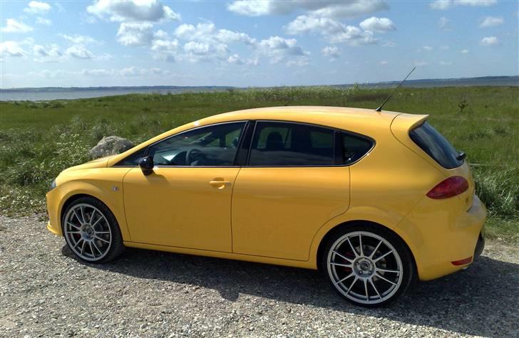 Seat                Leon Cupra billede 6