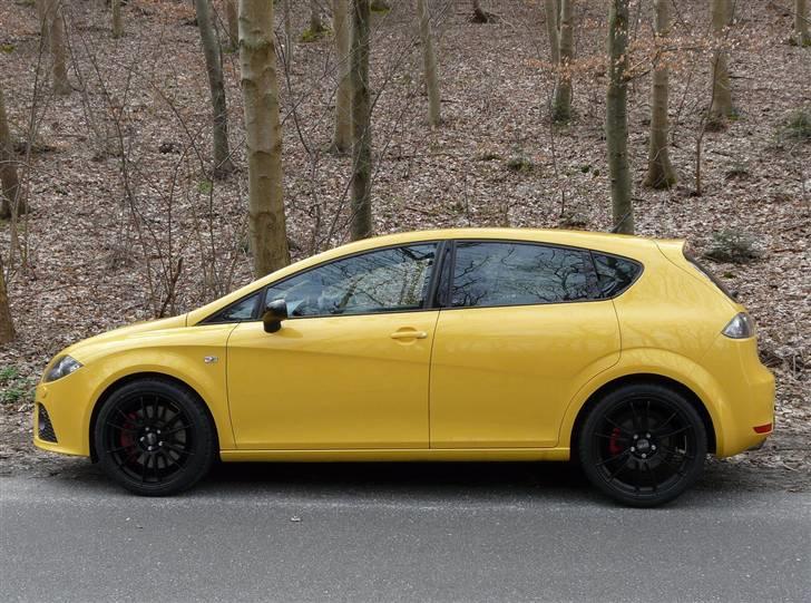 Seat                Leon Cupra billede 7