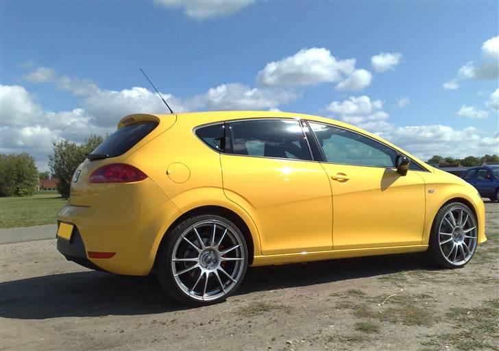 Seat                Leon Cupra billede 10