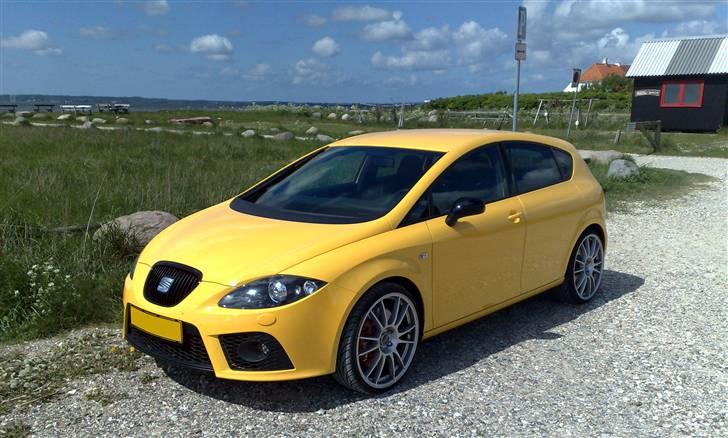 Seat                Leon Cupra billede 11