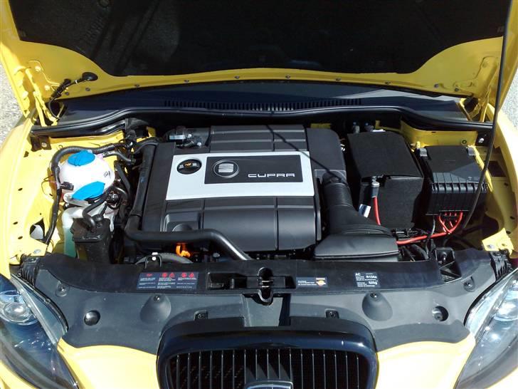 Seat                Leon Cupra billede 15