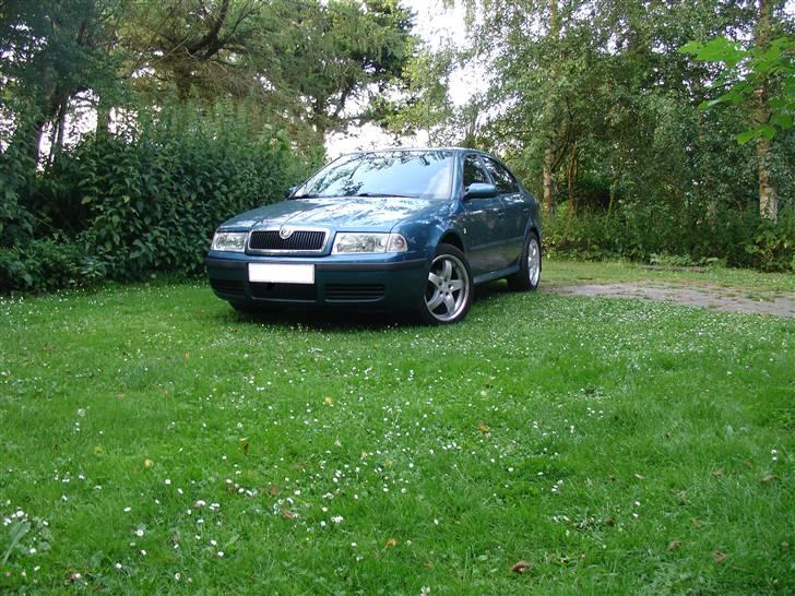 Skoda Octavia billede 1