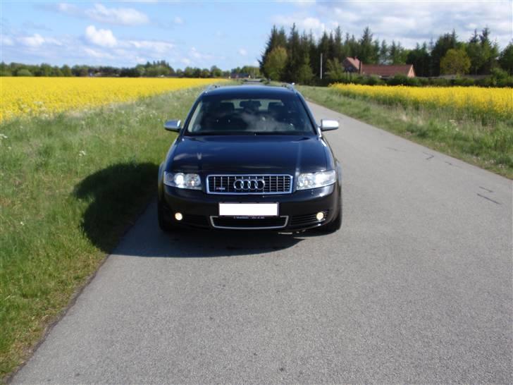 Audi Avant TDI S-line billede 3