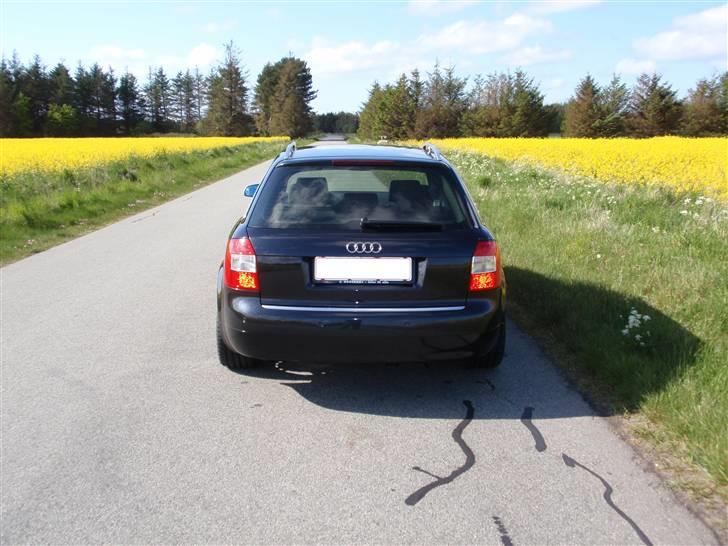 Audi Avant TDI S-line billede 7
