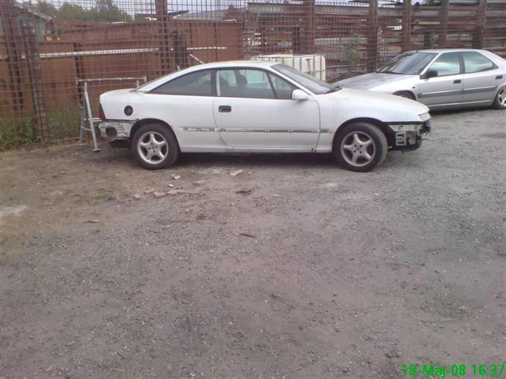 Opel Calibra (R.I.P) billede 2
