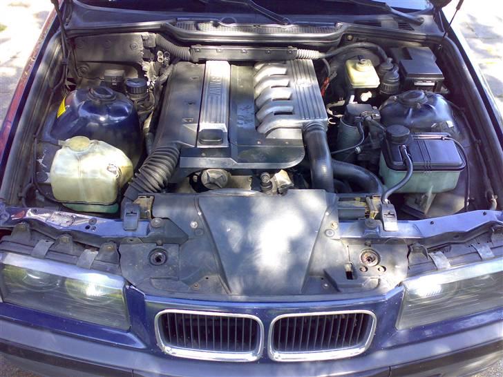 BMW 325TD billede 11