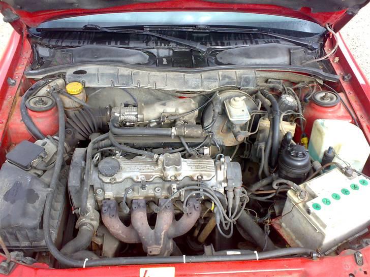 Opel vectra GT Død billede 14