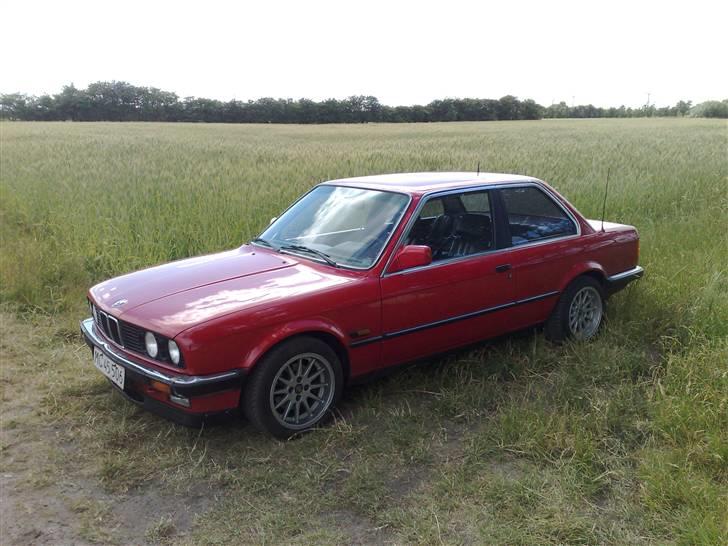 BMW E30 *STJÅLET* - 3xx hk på græs :P billede 5