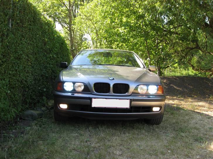 BMW 523i steptronic billede 8