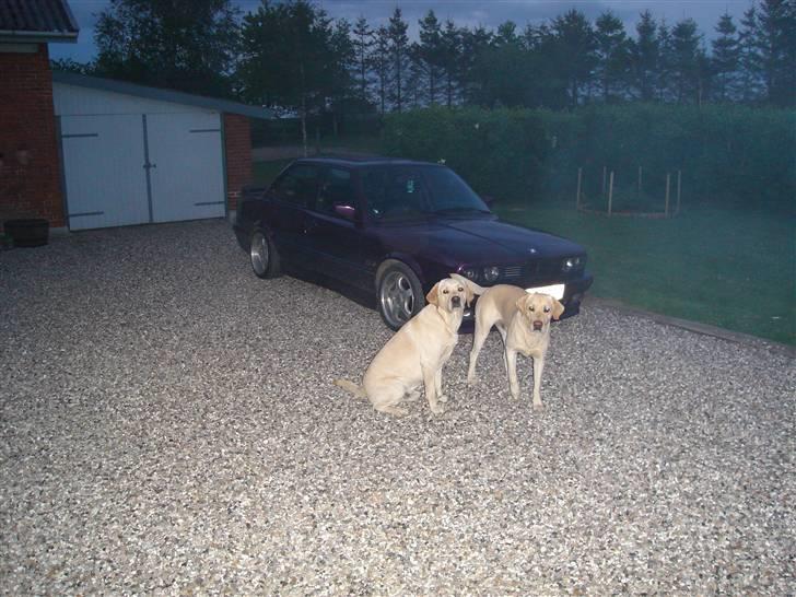 BMW E30 320i / 325i - 13-7 2010 billede 15