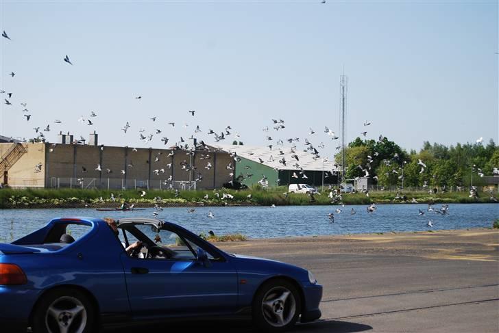 Honda Civic Del Sol ESI solgt billede 7