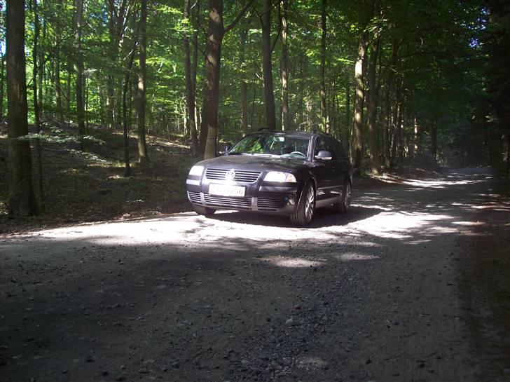 VW passat billede 10