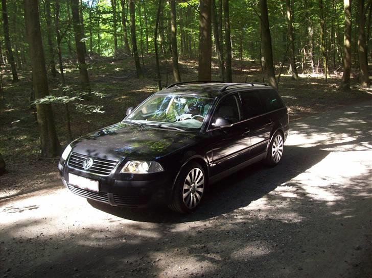 VW passat billede 13