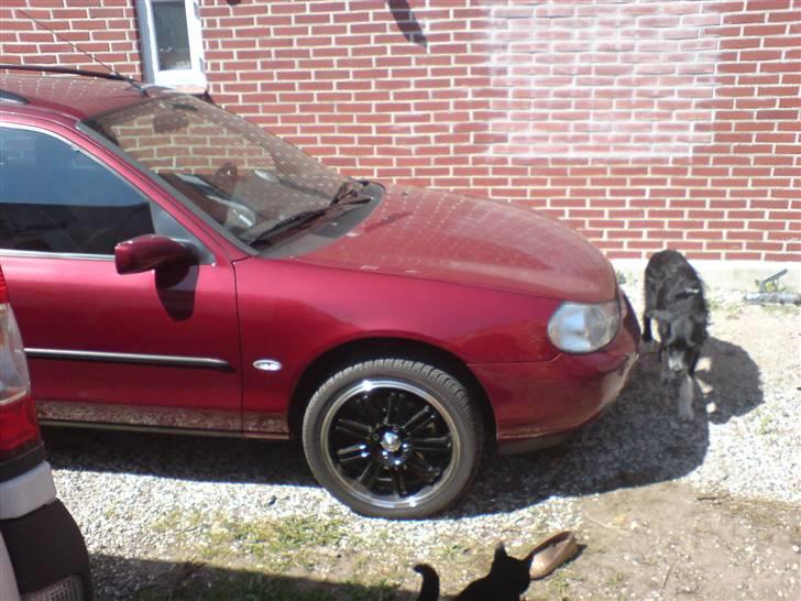 Ford Mondeo - vores sommerfælge, 17" HGS razor black og de hvide sideblink billede 5