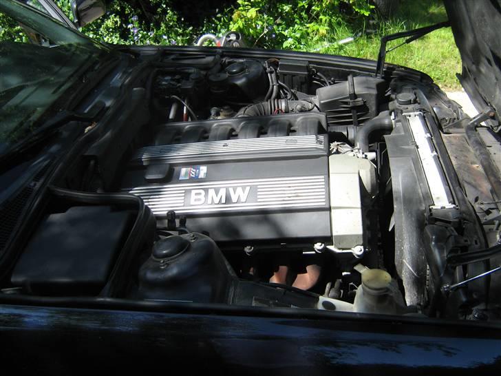 BMW 525i - næææhhh en motor billede 11