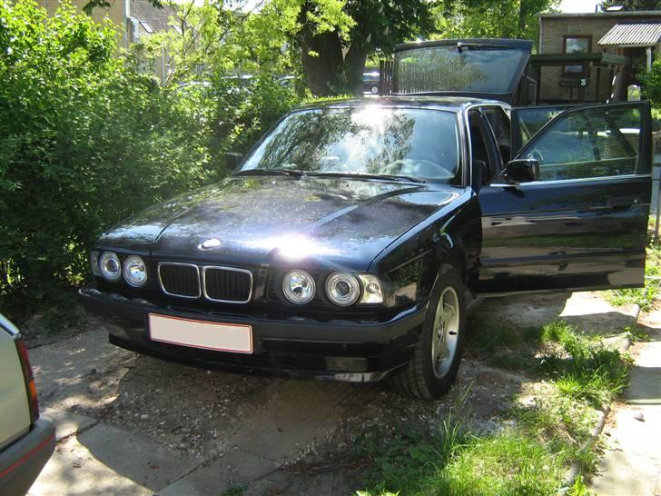BMW 525i - engellight forlygter hvide blink dem paa siden skal ogsaa skiftes billede 16