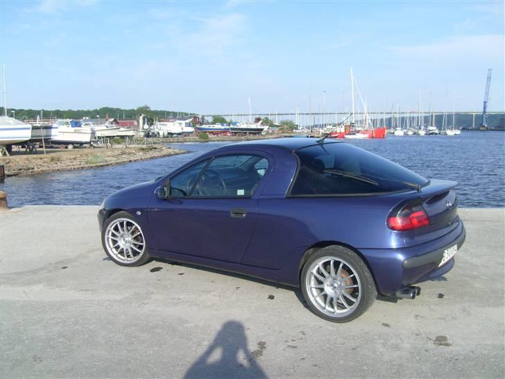 Opel Tigra billede 2