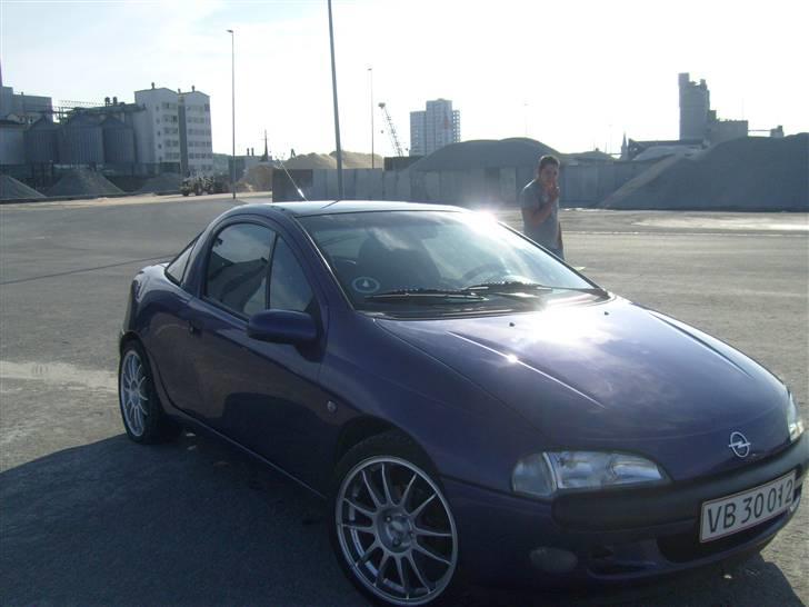 Opel Tigra billede 8