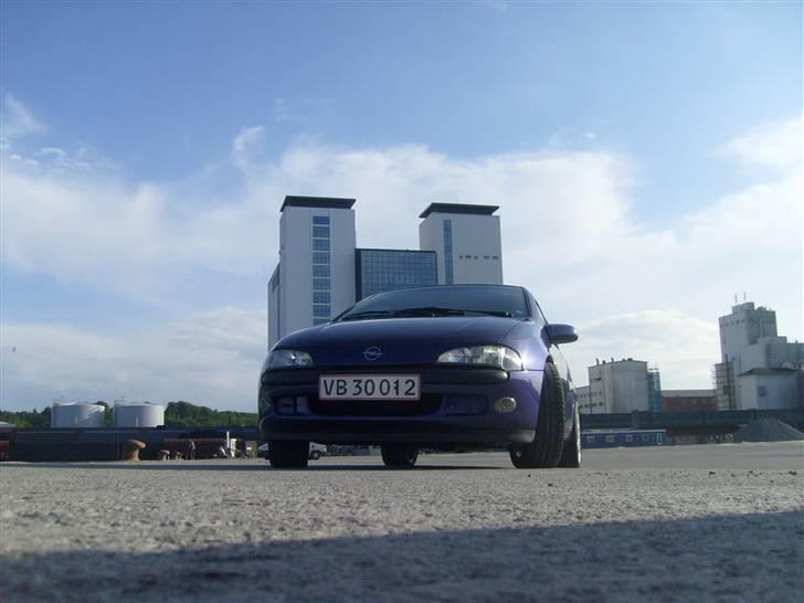 Opel Tigra billede 9