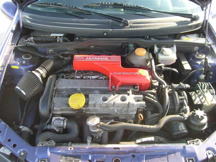 Opel Tigra billede 10