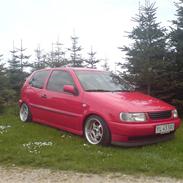 VW polo 6n