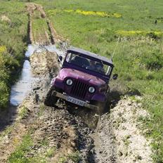 Jeep m38a1 ( SOLGT )