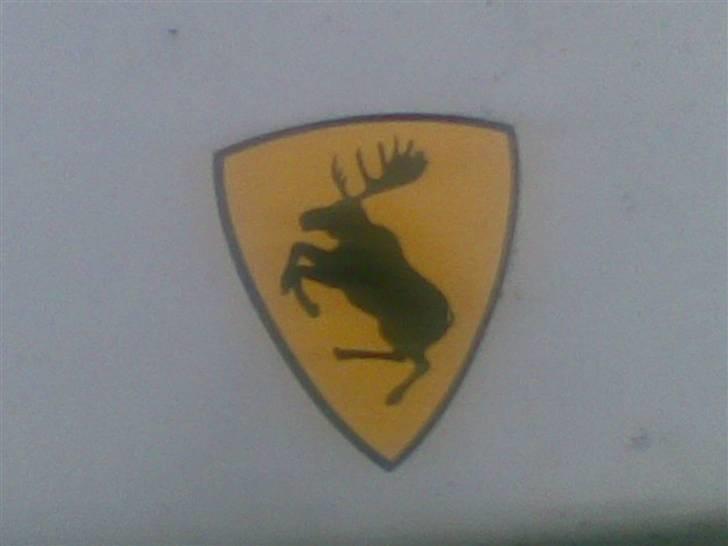 Volvo 242 - Her er min elg. billede 5