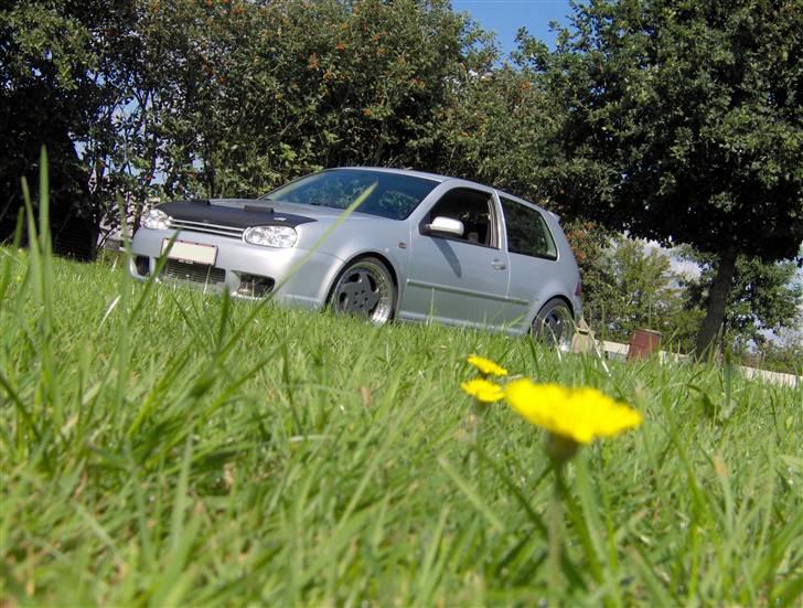 VW Golf 4 GTI (SOLGT) billede 10