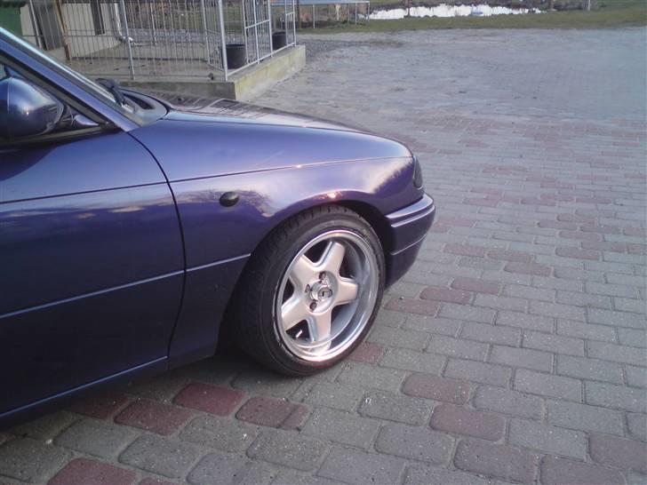 Opel astra gsi 16v  - hun skinner jo som en barnerøv med baby olie billede 16